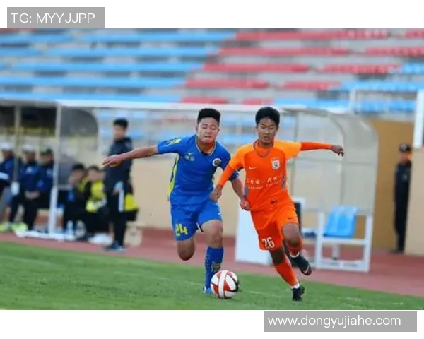 南京网球队实力分析：从青训到职业选手的成长之路