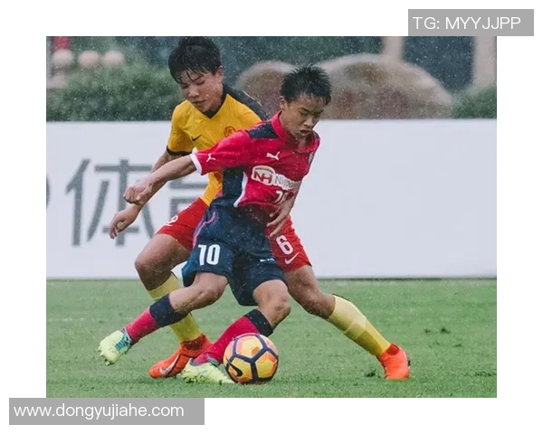 成都排球队在世界杯预选赛中的蜕变与成长之路探索