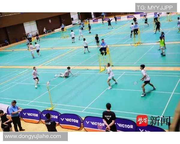 成都羽毛球队防守策略揭秘深度解析羽毛球技术与战术的完美结合