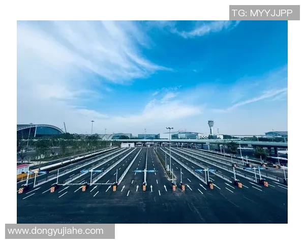 成都足球队在钻石联赛中的崛起与成长历程全景回顾