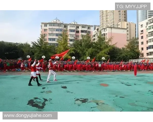 杨军独家分享篮球心得与技巧助你提升球技的全面指南