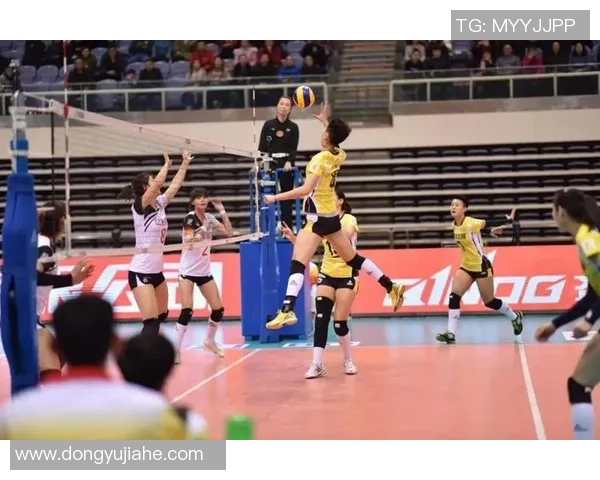 武汉排球队的战术风格与比赛节奏深度解析及未来展望