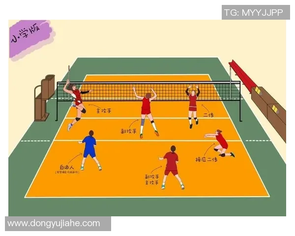 深入分析上海排球队控制打法的战术特点与实际应用